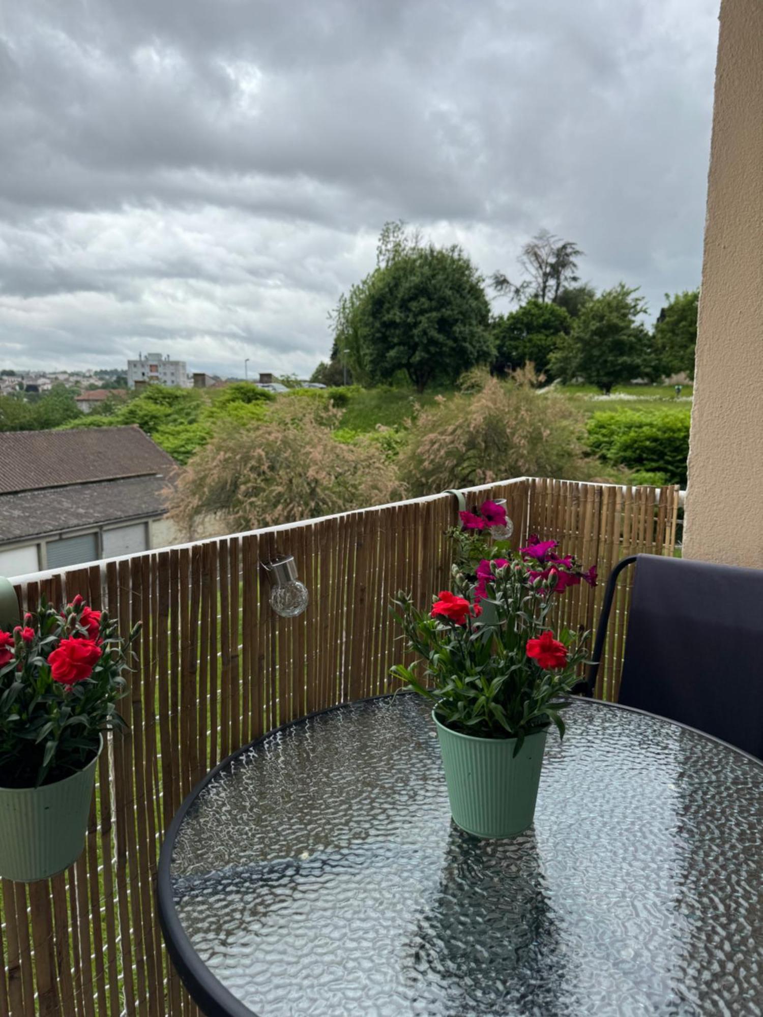 Appartement Chaleureux Et Spacieux T3 Limoges Bagian luar foto